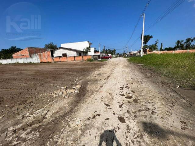 Terreno para Venda em Matinhos - 5