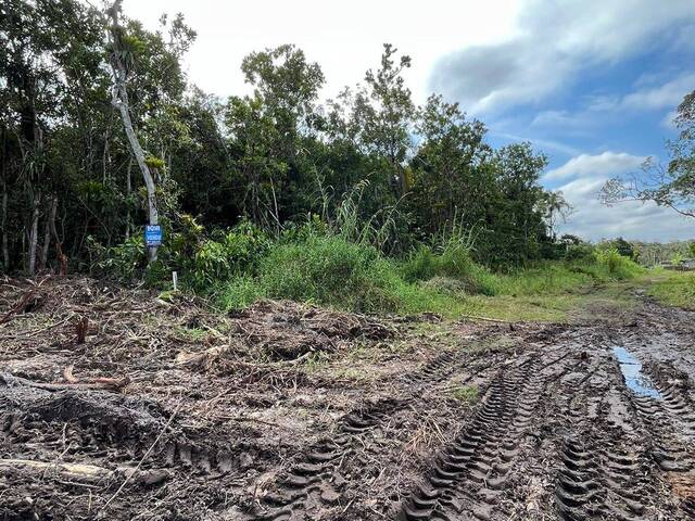 #353 - Terreno para Venda em Matinhos - PR - 3